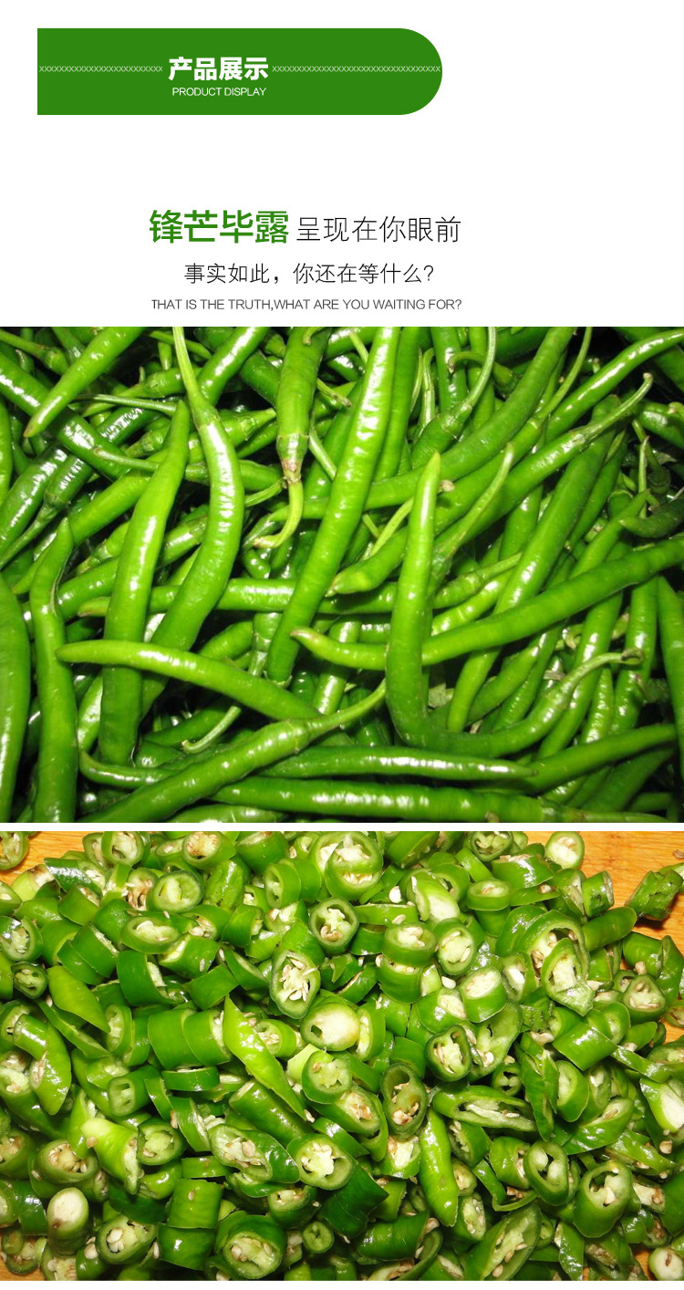 专业现货供应原生态尖椒小辣椒线辣椒纯天然高品质绿色新鲜蔬菜