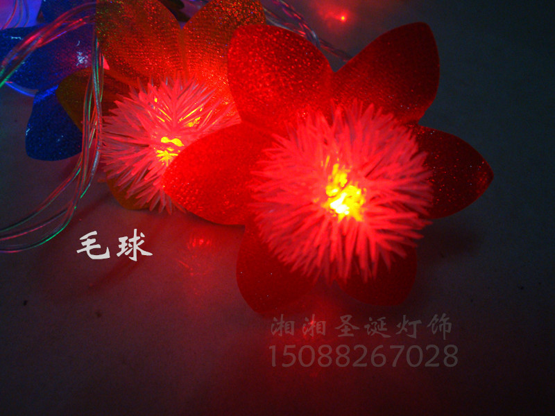 DSC02537_副本_副本