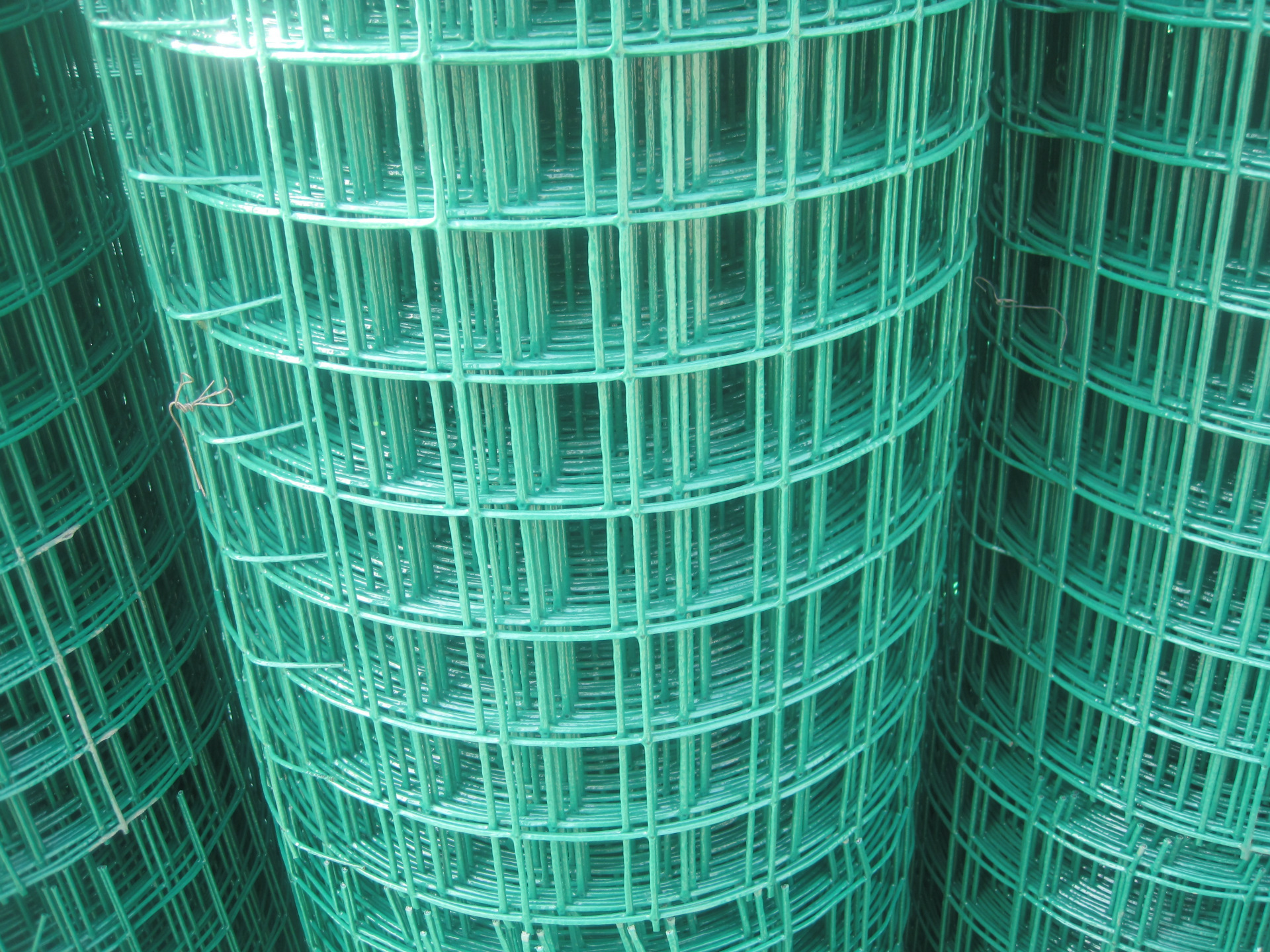 5x10网孔pvc浸塑电焊网 草场隔离铁丝网 养殖场围栏厂家直销 现货