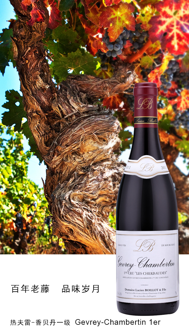 广州欧葡汇商贸有限公司-热夫雷-香贝丹一级园&ldquo;夏赫布德&rdquo