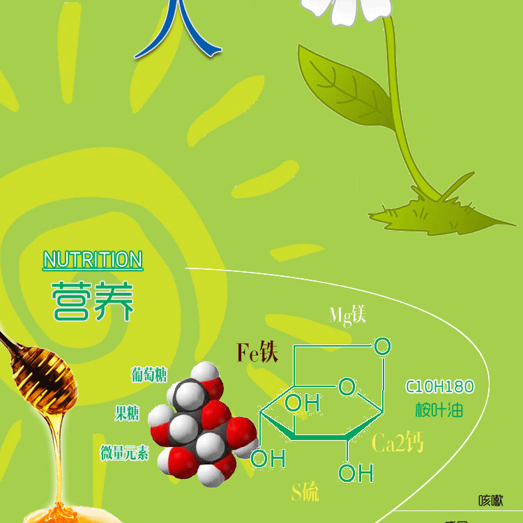 爱维力巴西源头进口蜂蜜批发野生尤加利蜂蜜纯天然桉树新蜜1公斤