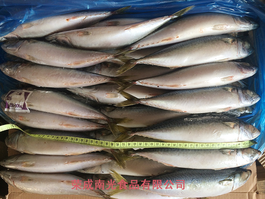250g-300gˮ������ (7)