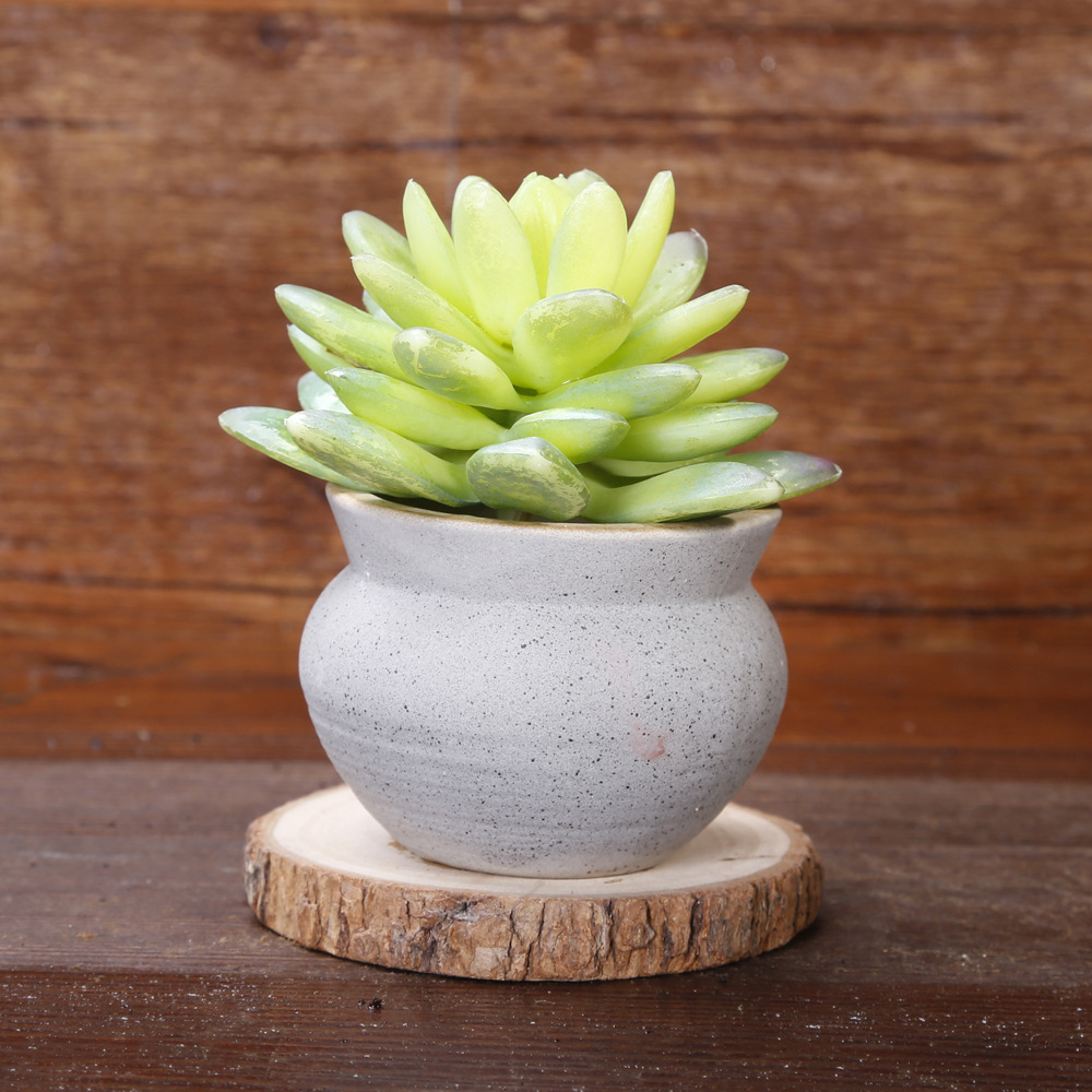 拇指花盆 迷你多肉花盆 粗陶手绘花盆 多款式桌面小花盆 8247