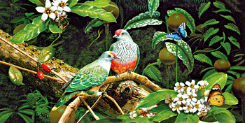 有框 新婚礼品批发3d效果图: :各种尺寸的pp立体画,pet立体画,pet立体