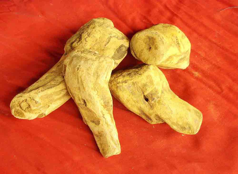 大黄酸98% rhein 供应大黄酸 供应大黄提取物 大黄提取物p.e.