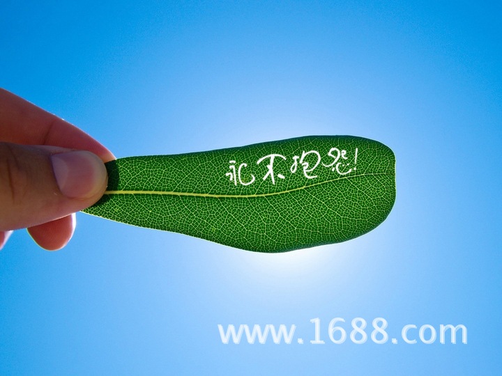 停止抱怨,你比自己想象的更美好