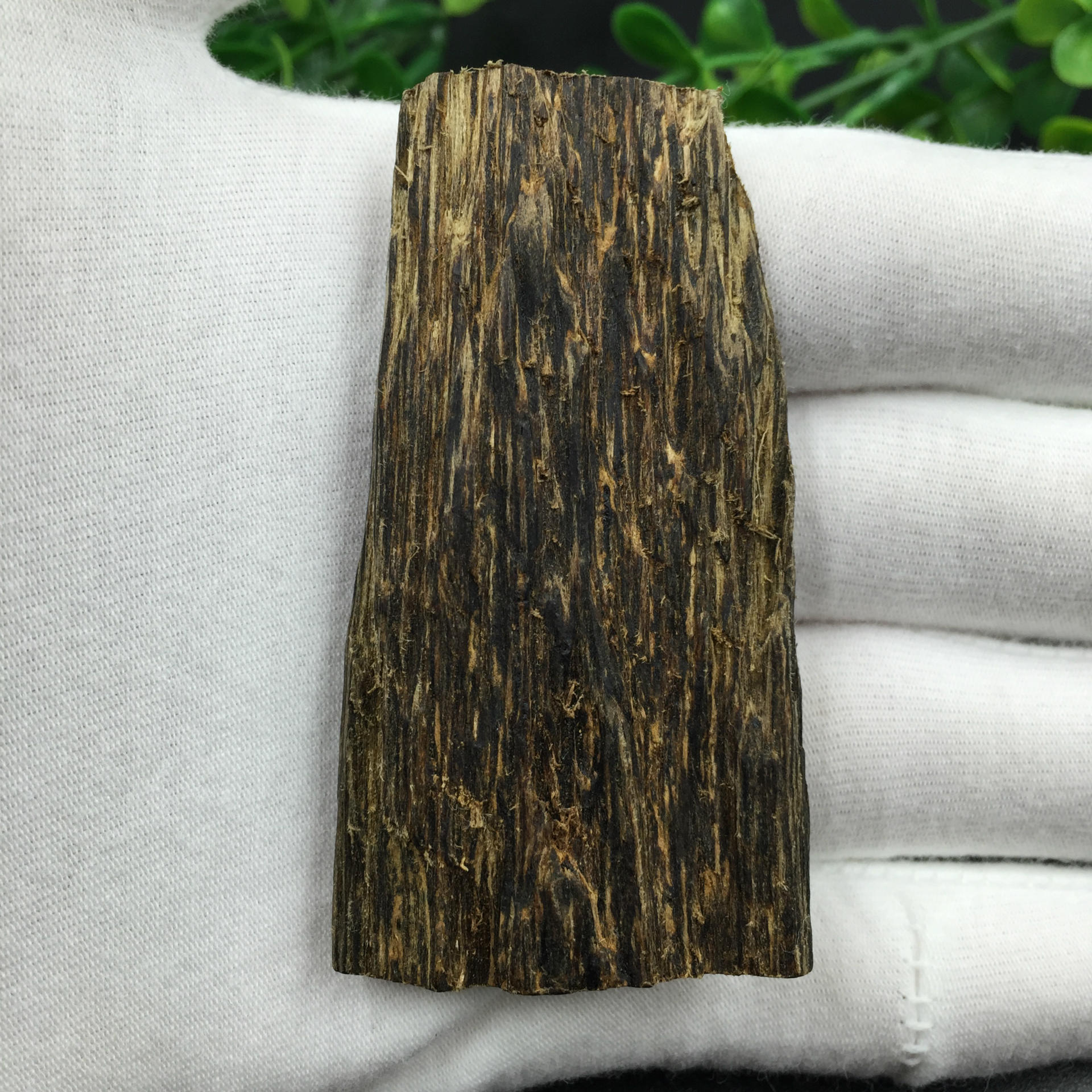 一线产区文莱沉香沉水原木挂件,香浓郁迷人,油脂满满的