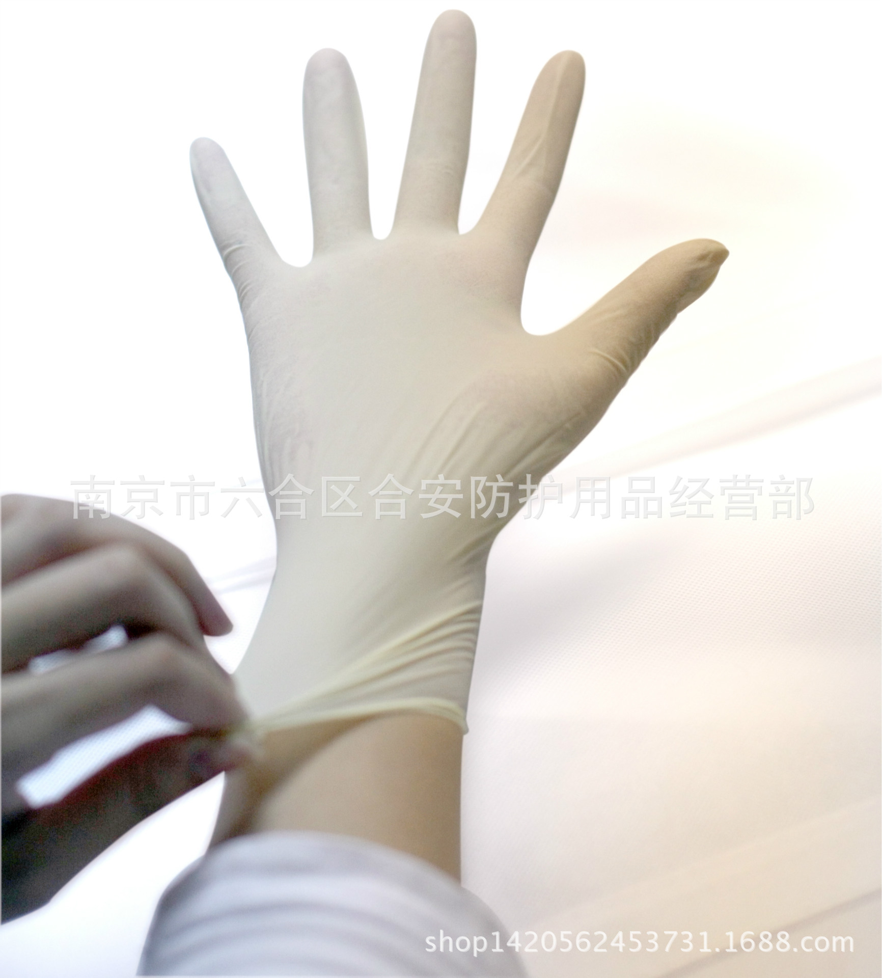 ammex爱马斯一次性橡胶检查手套医用灭菌牙科实验室食品手套批发