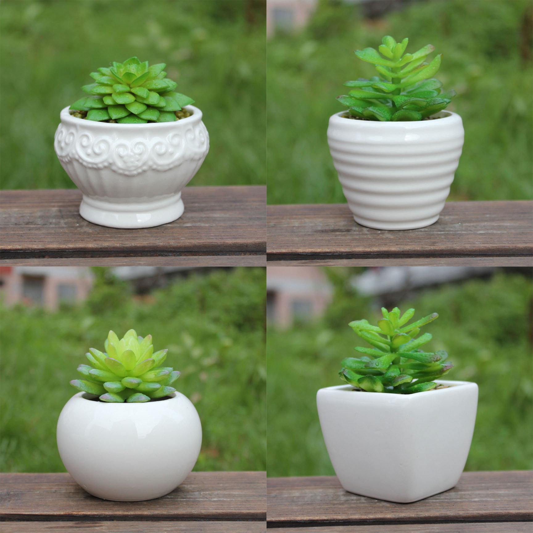 多肉花盆简约白色高雅12458陶瓷花盆办公室桌面小花盆厂家批发