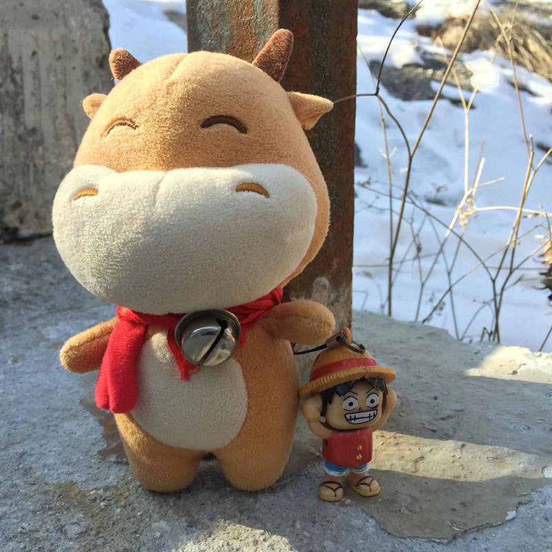 带着千牛游西安