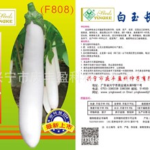 批发茄果蔬菜种子--白玉长茄(200粒/袋)(8624)