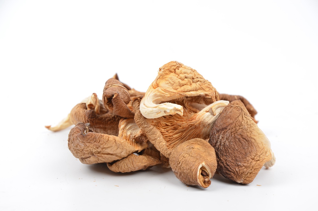 福建古田食用菌批发鲍鱼菇150克袋装散装批发