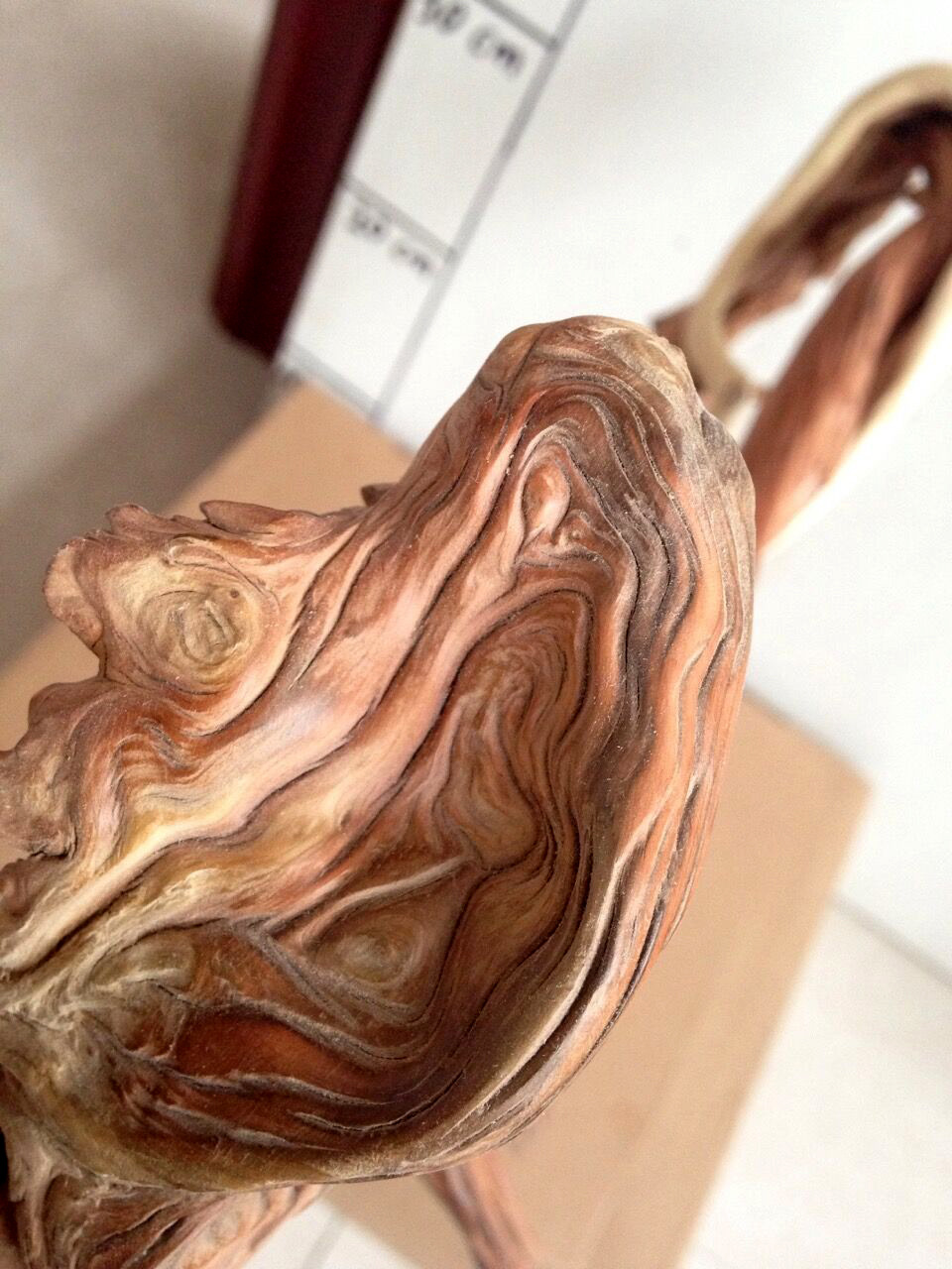 太行崖柏 根雕 根艺 摆件 云纹 毛料批