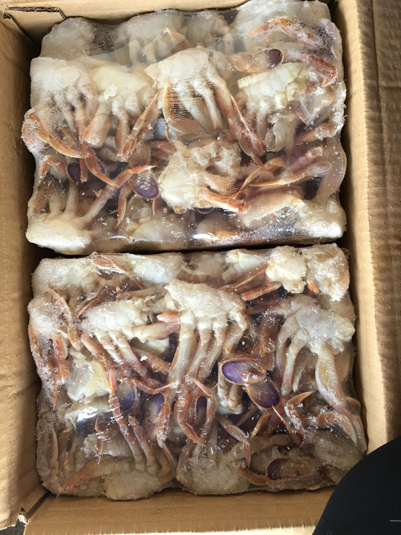 热销江洋 冷冻海鲜 沙蟹切蟹块8板装 冷冻海鲜 冷冻粗加工水产品