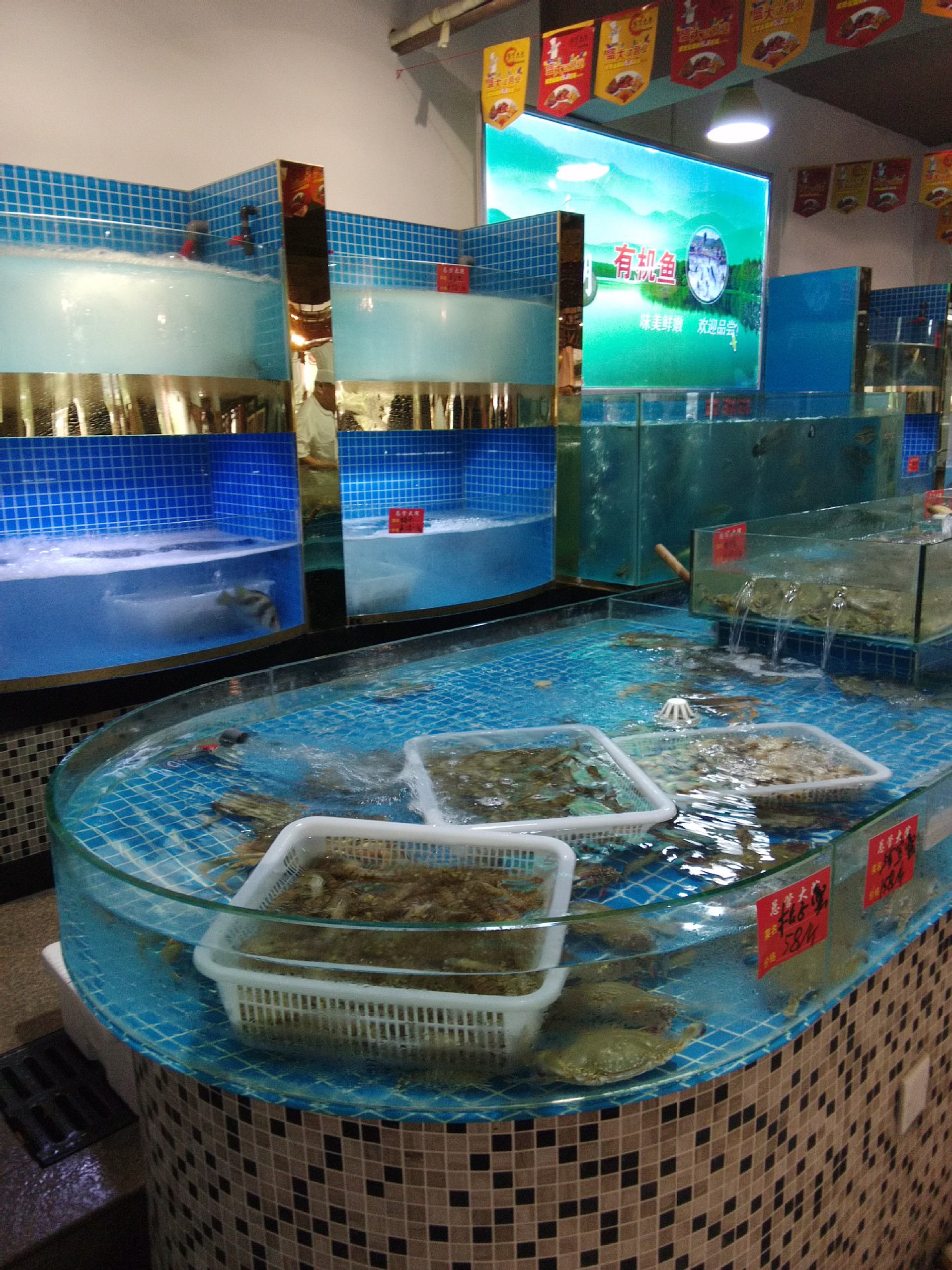 中国杭州海鲜池工程一制冷冰鲜台一制冷菜鲜台