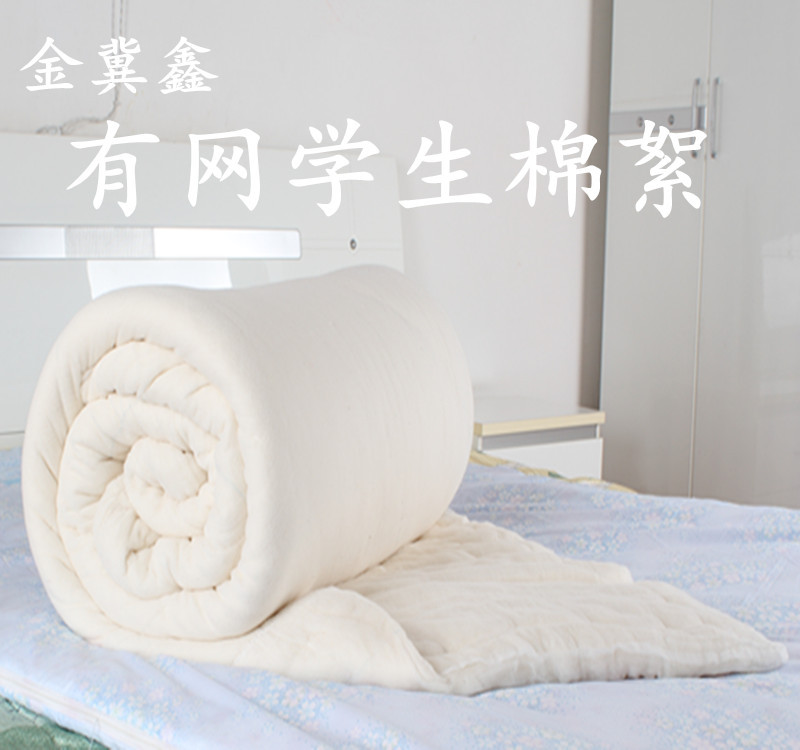 包邮 厂家直销 金冀鑫 冬季纯棉印花有网学生棉花被被芯 垫被