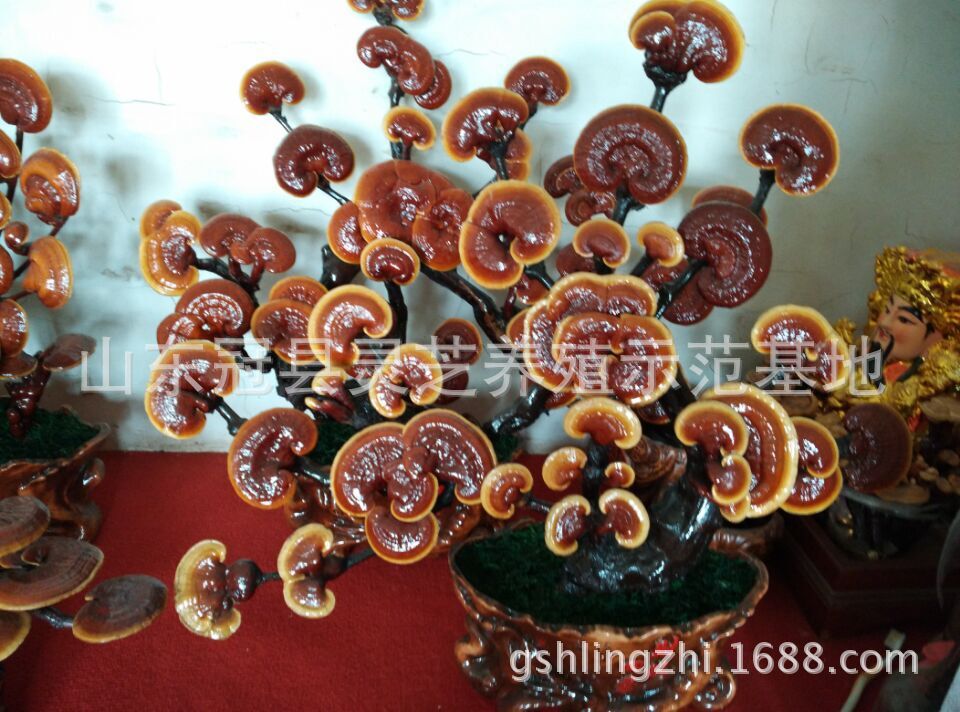 QQ图片20150604234239