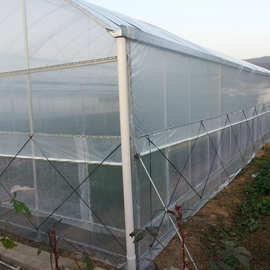 温棚造价_温棚造价价格_优质温棚造价批发\/采
