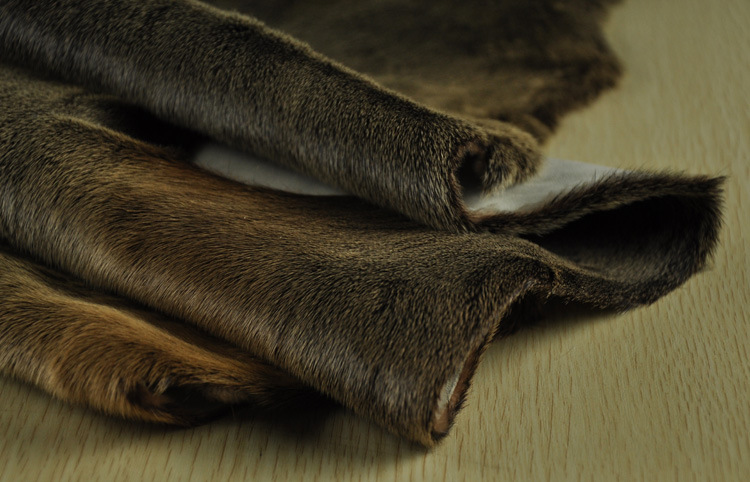 进口海狗皮批发 棕色海狗毛皮一体 高档优质海狗皮供应厂家