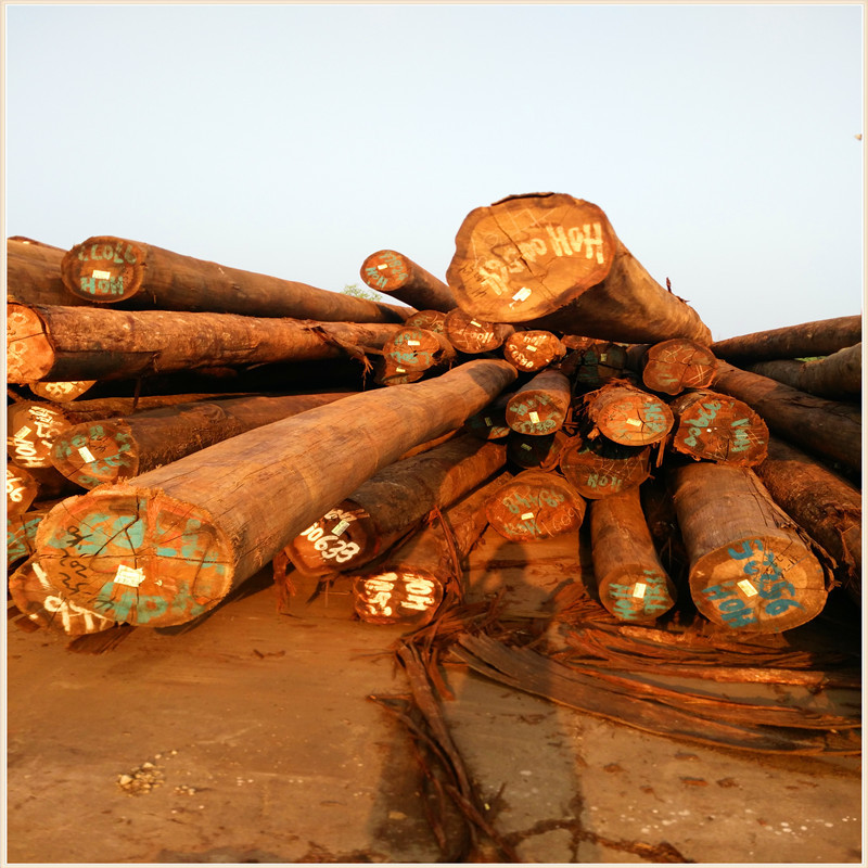 国外新到优质重坡垒原木张家港重坡垒原木价格精品柱子材