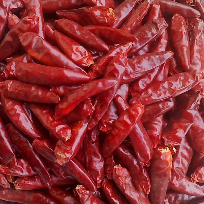 四川小尖椒 朝天椒干辣椒  香料调料大全