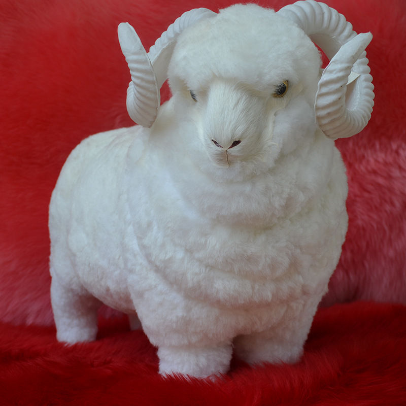 小羊装饰品 摆设品纯羊毛摆饰品教学模型陈列品仿真绵羊正品批发