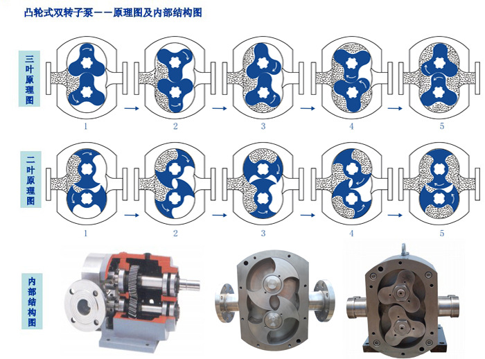 北京转子泵厂家 二叶转子泵 安徽凸轮转子泵 琼