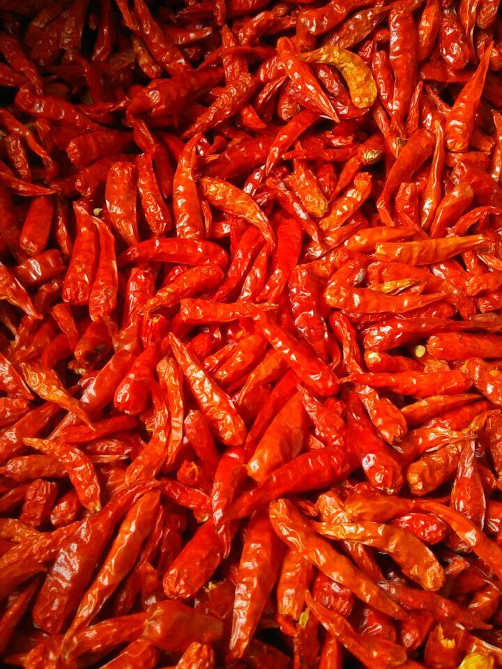 进口越南特产干辣椒王红辣椒干超辣特辣