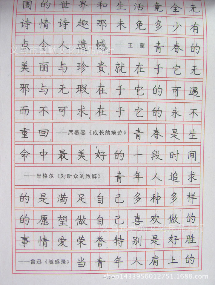 罗杨钢笔字帖人生格言汉字规范练习楷书中小学生硬笔书法练习