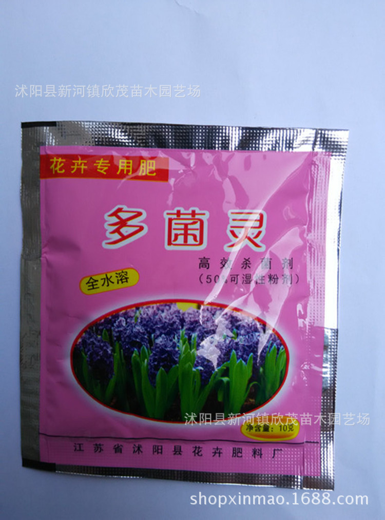 罗汉松叶枯病用多菌灵图片