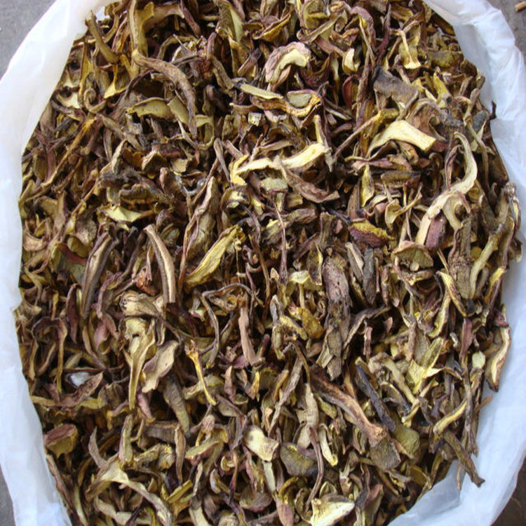 云南干片菌批发 红葱高脚葱 食用细葱菌 原产地干货菌种
