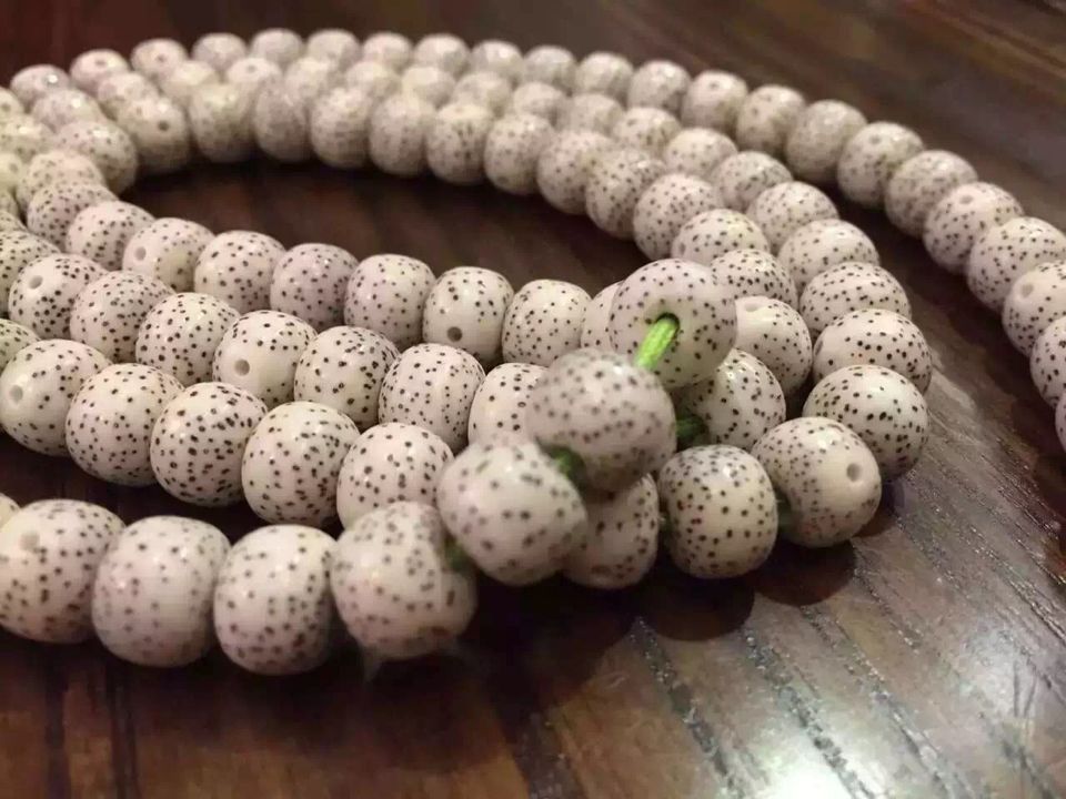 缘昌 星月菩提 正月高密顺白干磨a  海南元宝籽红藤籽加工批发
