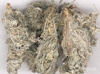 甘肃地产茵陈_甘肃地产茵陈 垛大无根 春季早