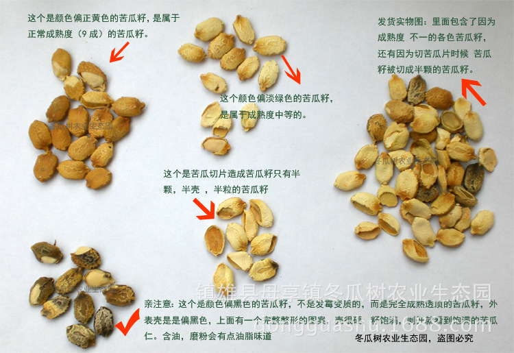上拓 苦瓜籽500克 苦瓜子 可免费代磨粉 不能种植