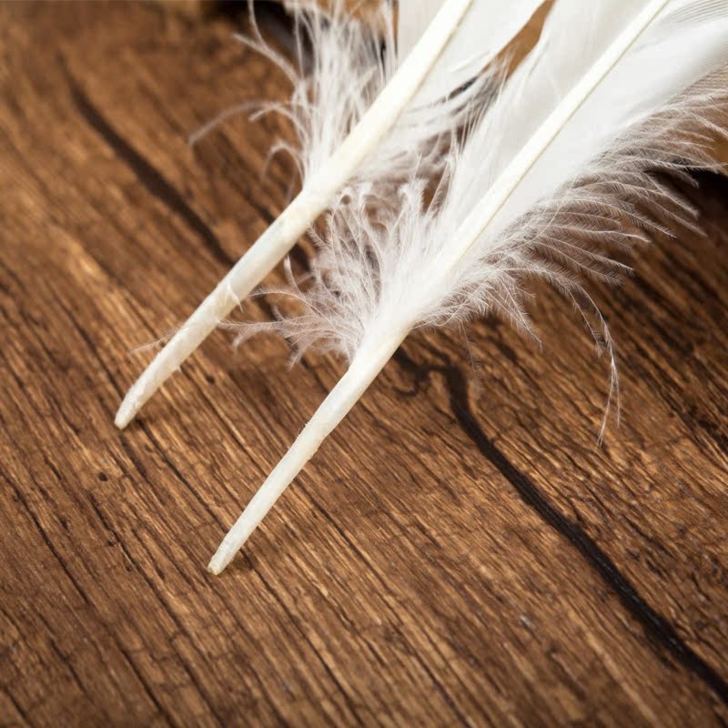 大量现货批发零售高档精品白鸭翠毛 ,羽毛装饰羽毛系列厂家直销