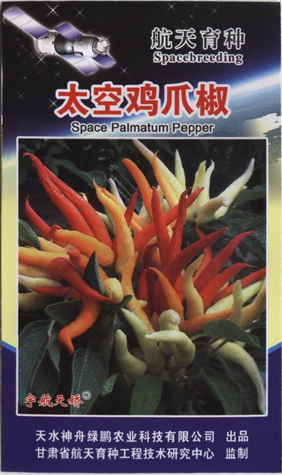 厂家批发 太空鸡爪椒辣椒种子 20粒/袋