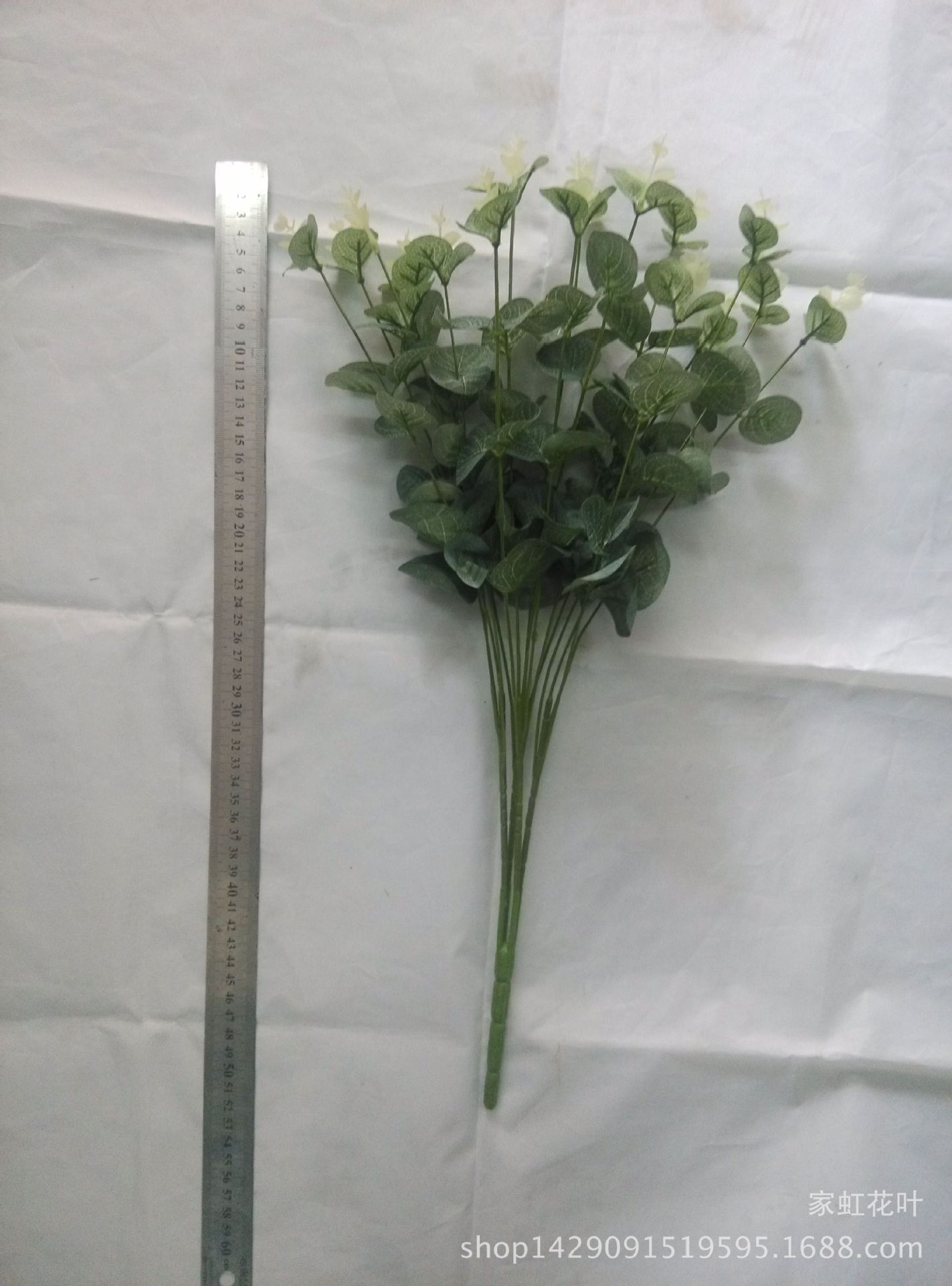 16头丝印金钱叶