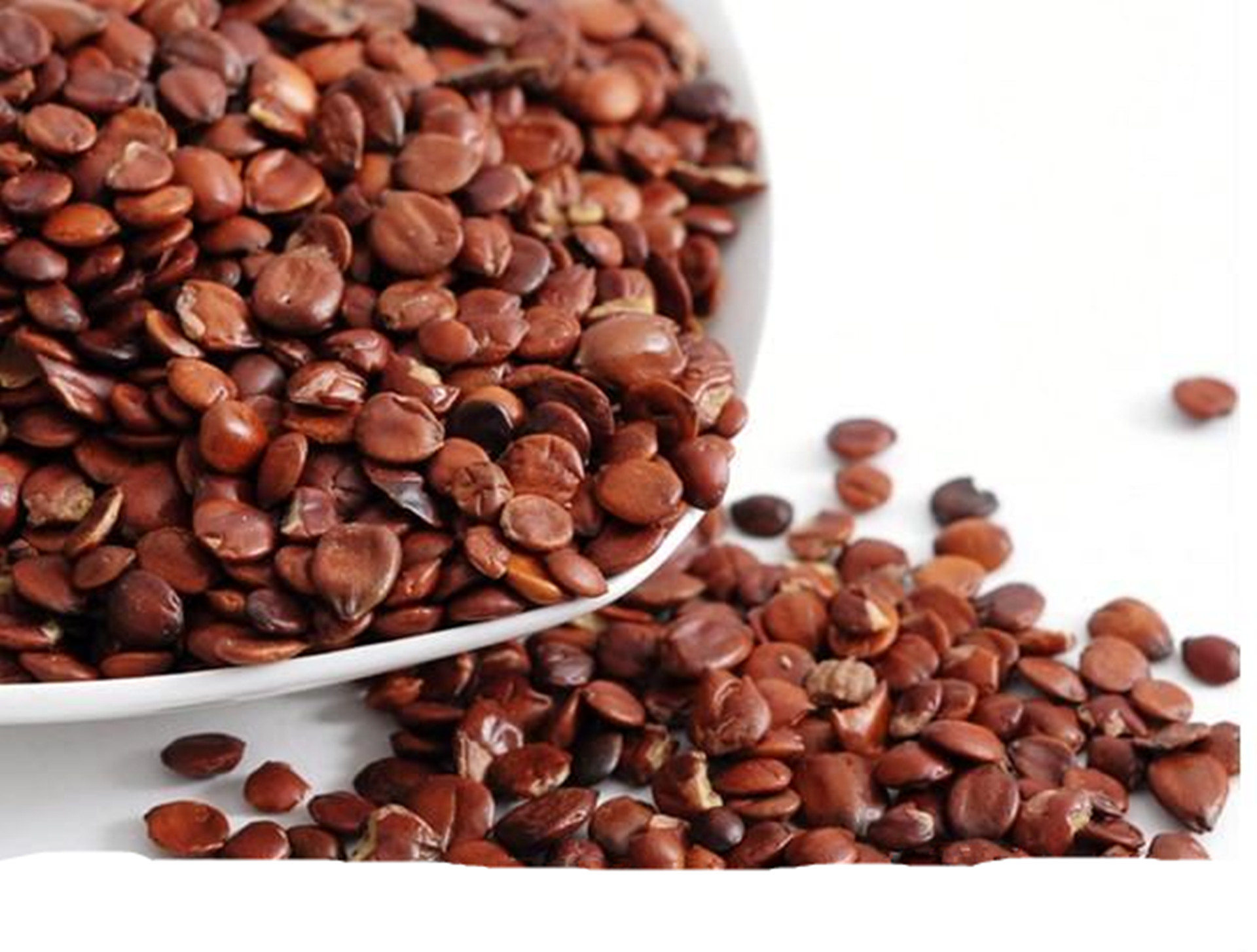 批发供应优质中药饮材失眠的克星 进口酸枣仁 国产酸枣仁全网低价