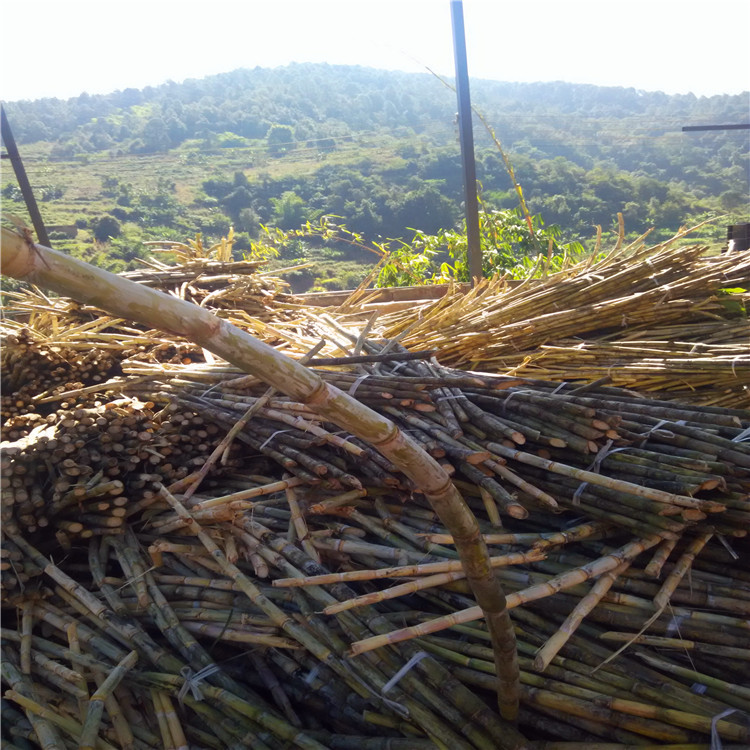 云南特产古法红糖叶子红糖甘蔗叶包原汁糖土红糖小碗红糖