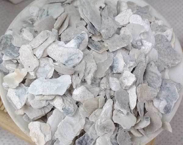 中药材 批发 优质 牡蛎 煅牡蛎