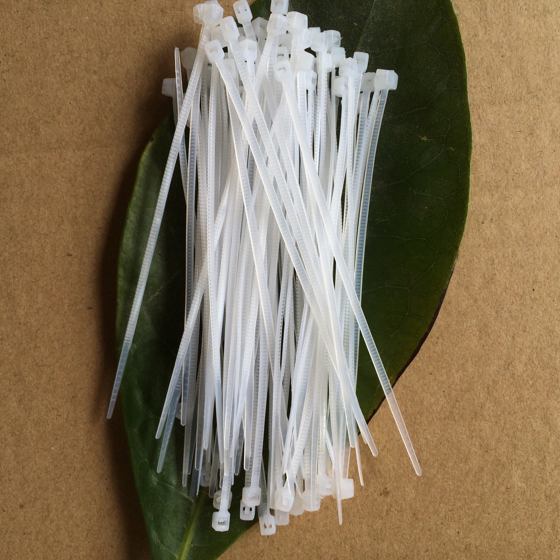 诚成塑料直销扎带尼龙捆绑扎带束线带黑白色扎丝尼龙扎带3*160mm