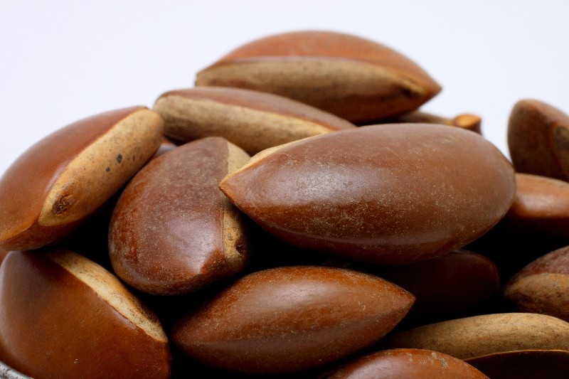 月亮豆菩提批发 菩提珠手串一斤160颗左右