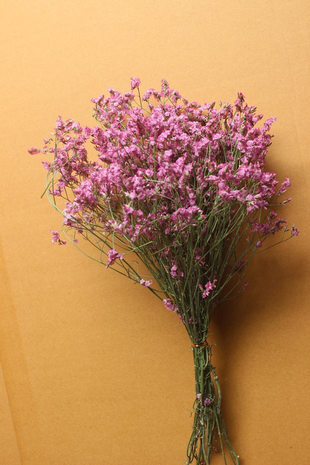 【染色水晶草】 摆饰装饰花干花红色水晶草 彩色水晶草