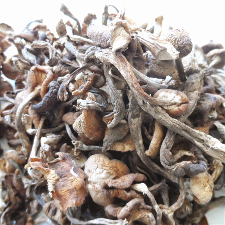 中国贡米交易网 大米供应 【原产地野生榛蘑】干蘑菇产地批发人工精选