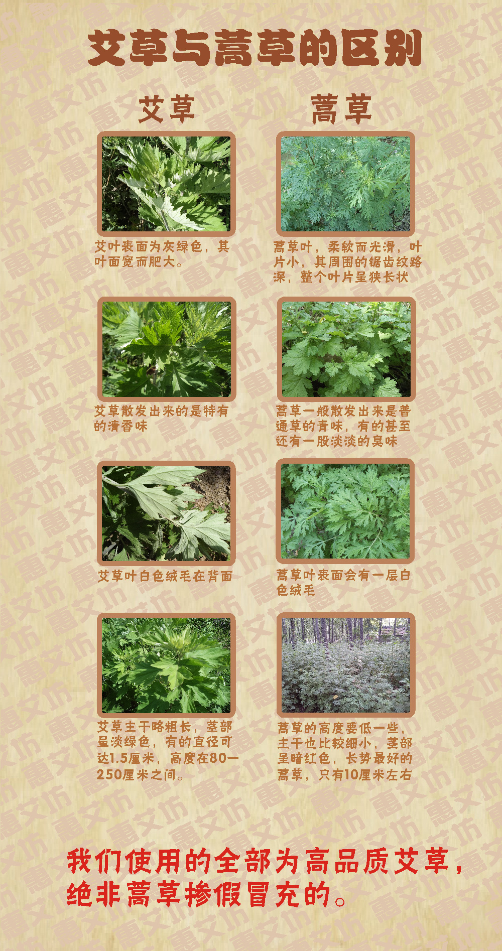 **惠艾坊五年陈甲级蕲艾条 5:1艾绒艾条 艾灸条 地道蕲.