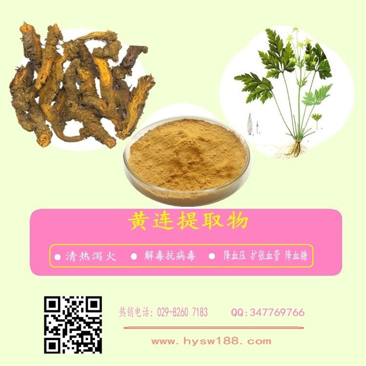 黄连提取物