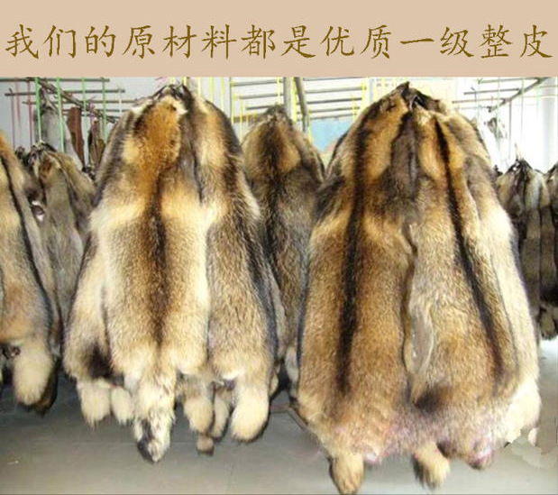 批发超大真毛貉子毛领皮草领子羽绒服大衣帽条围脖毛领 毛条加工