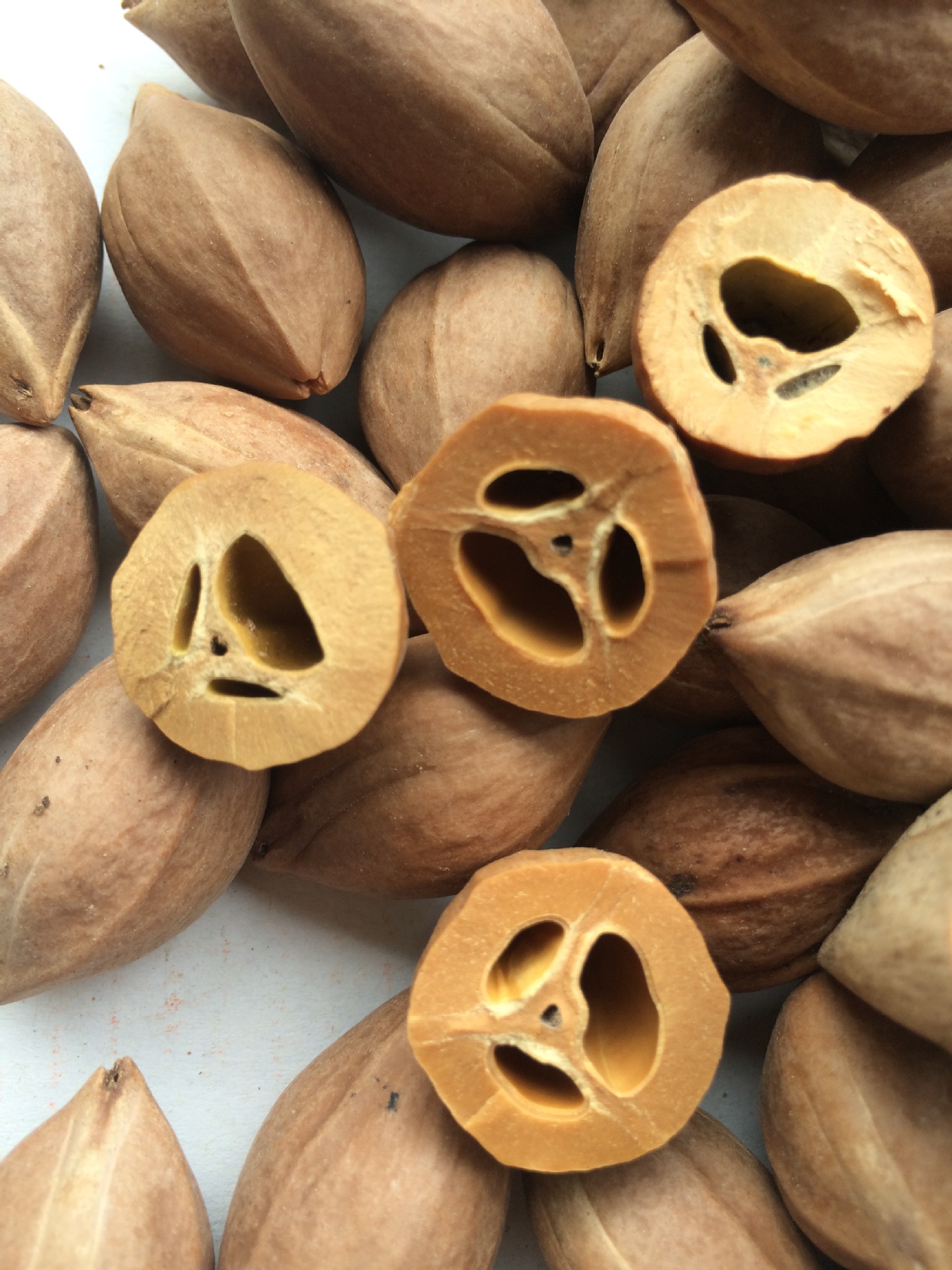 橄榄核原料 橄榄原籽 橄榄通货批发 橄榄散珠论斤批发