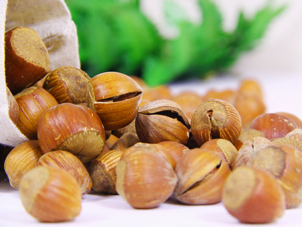 店内新品 新疆特产开口榛子 坚果食品开口榛子 500gx袋