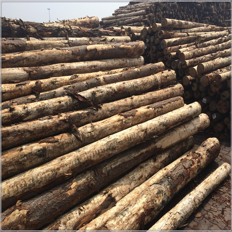 港口销售新西兰辐射松原木 景观木松木桩 包装箱托盘木
